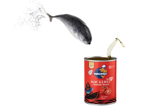 Mackerel In Tomato Sauce